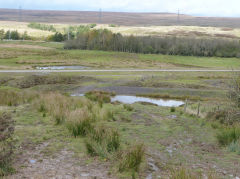 Rhas Fach ponds on the Patches, Brynmawr, October 2012